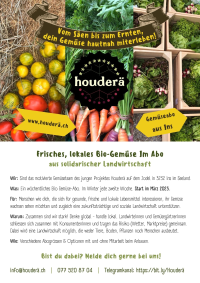 Pestizidfreie Gemüse Abo aus Ins